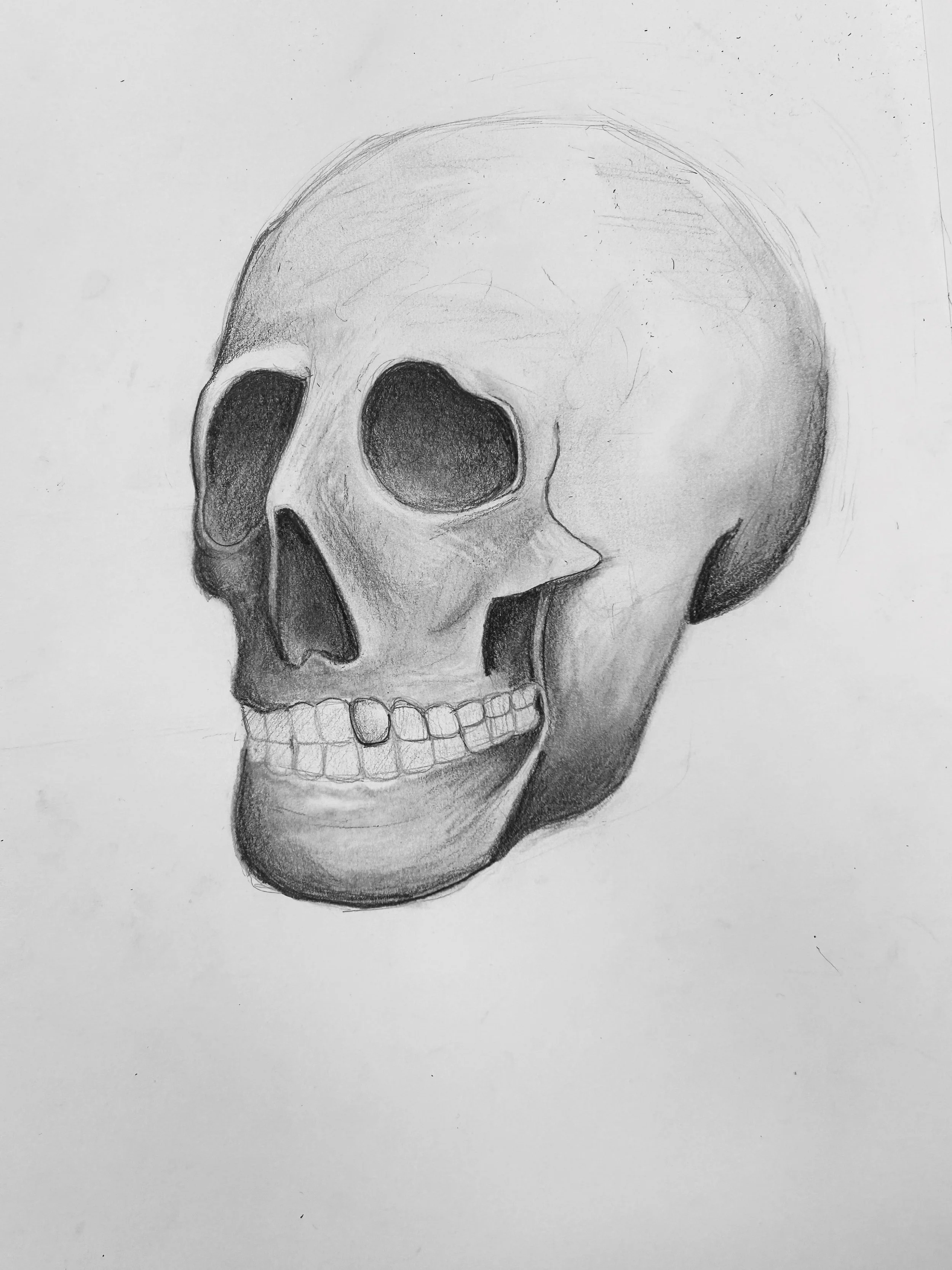 skull2.jpg