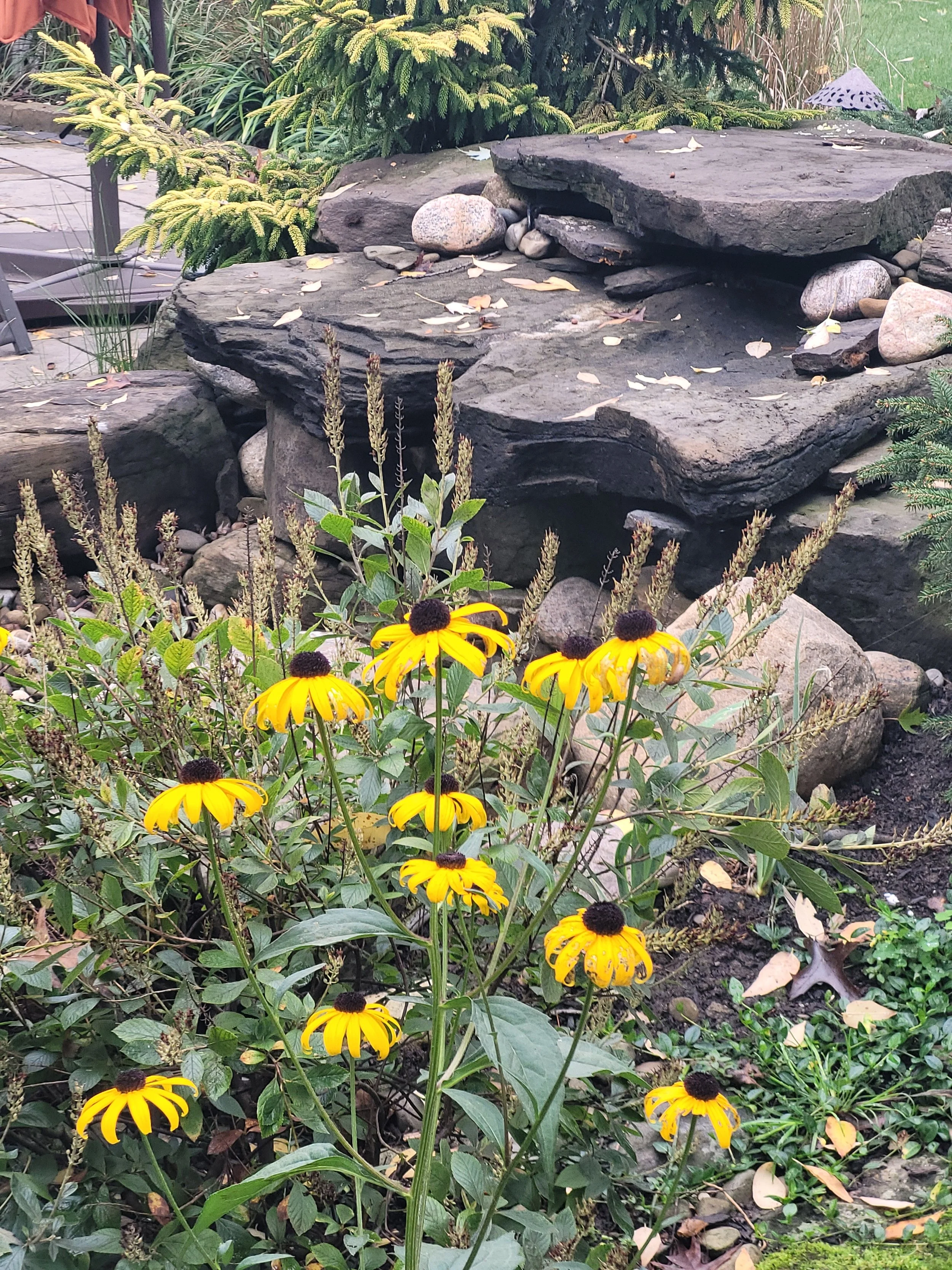 Children's Gardens Begin in Winter