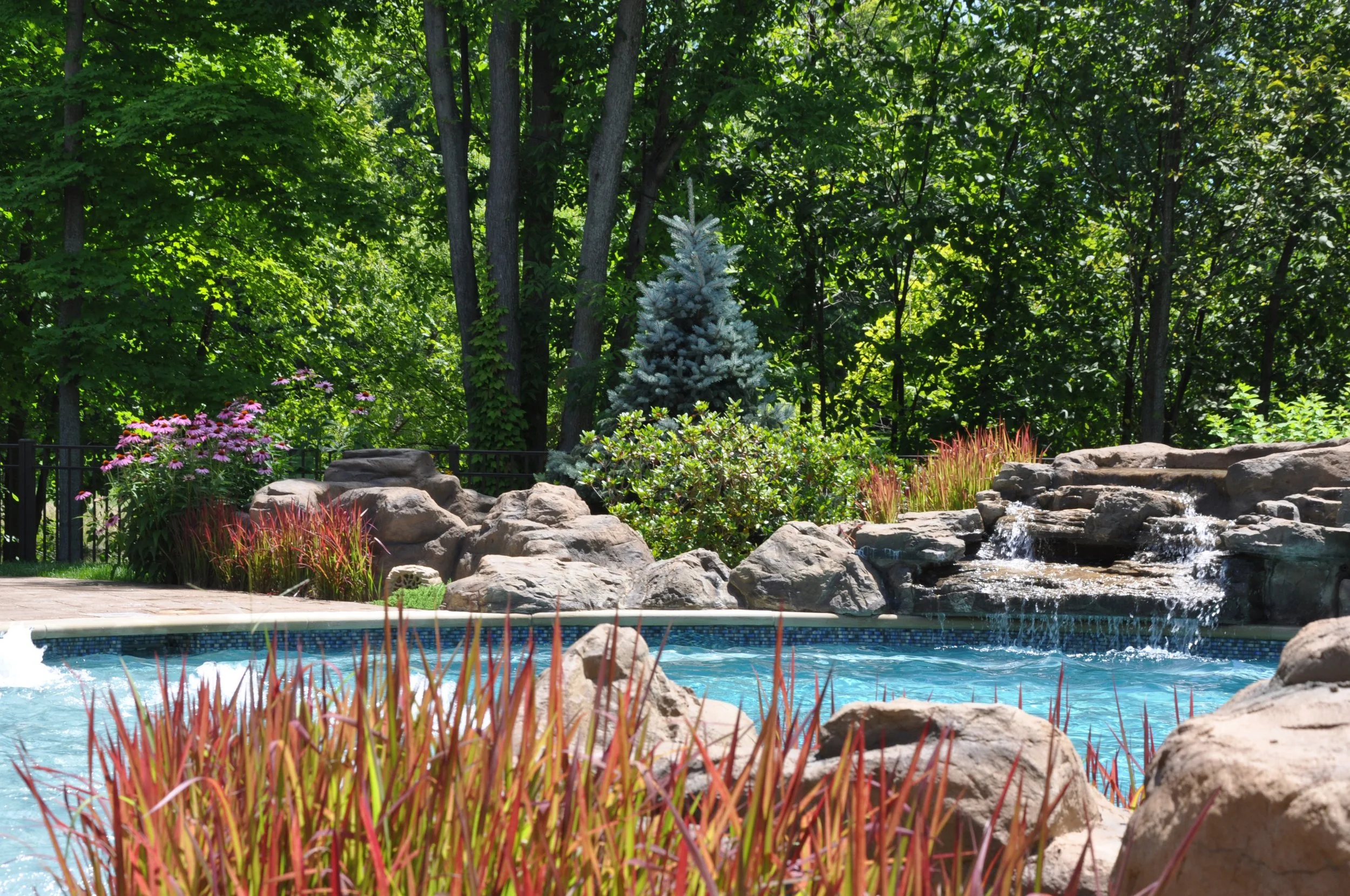 wldflora-custom-pool-boulders-native-plants-water-fountains.jpg