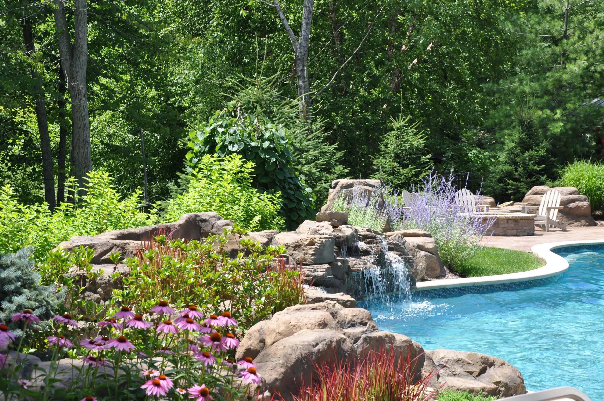 wldflora-custom-pool-evergreens-native-plants-water.jpg