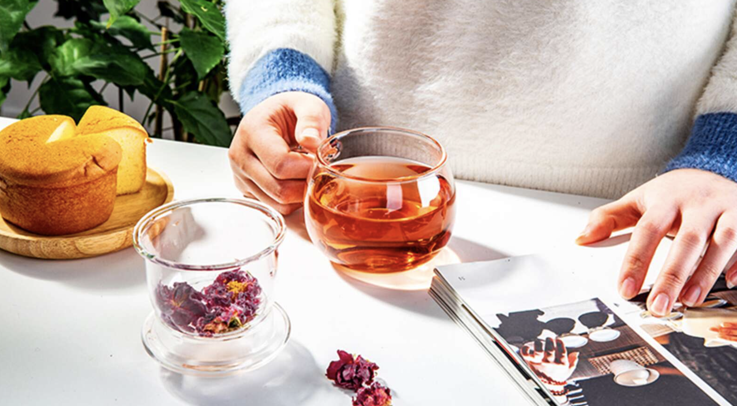 24/7 Tea Drinker Gift Guide