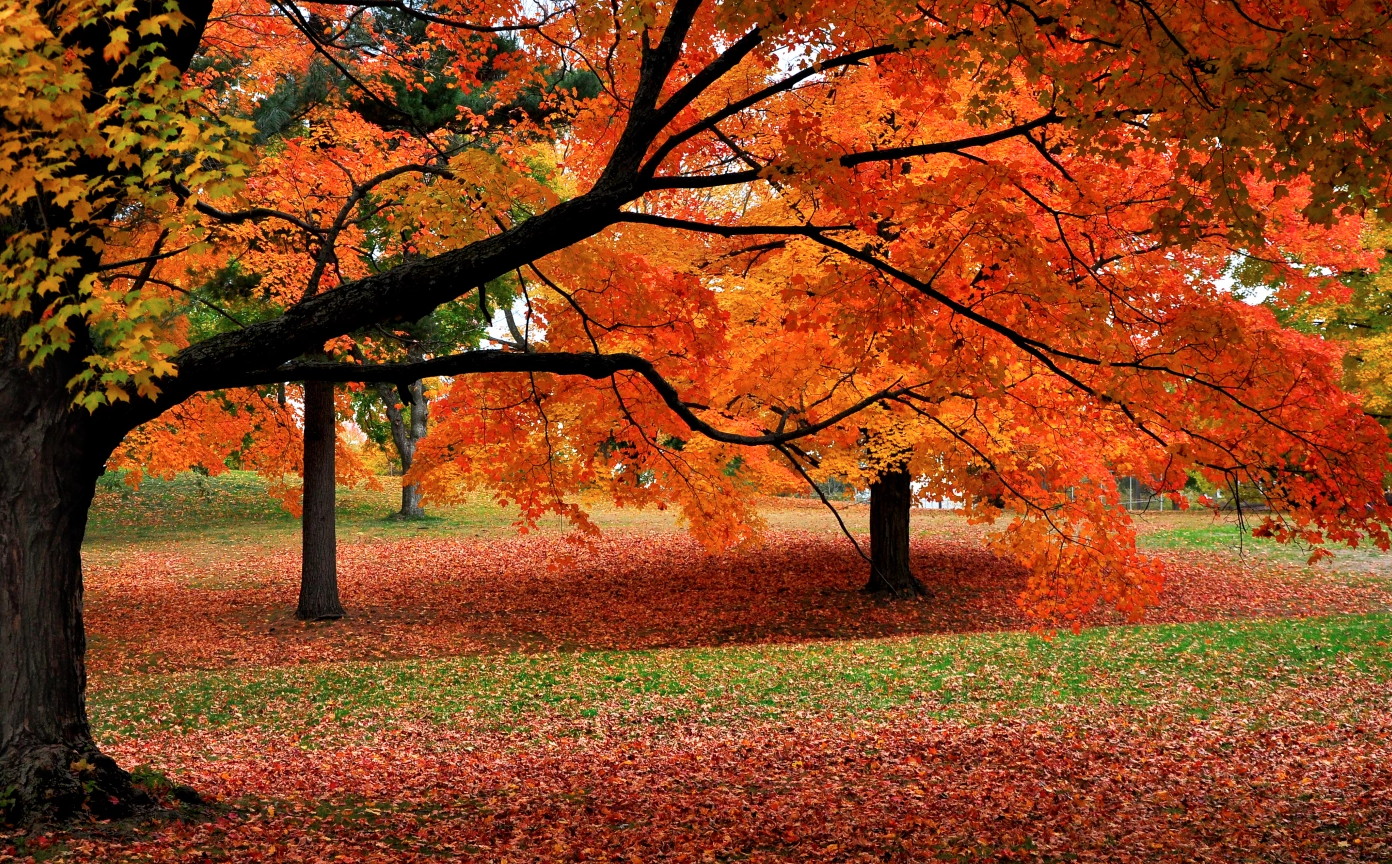 Morals Can Change With the Seasons, According to Study