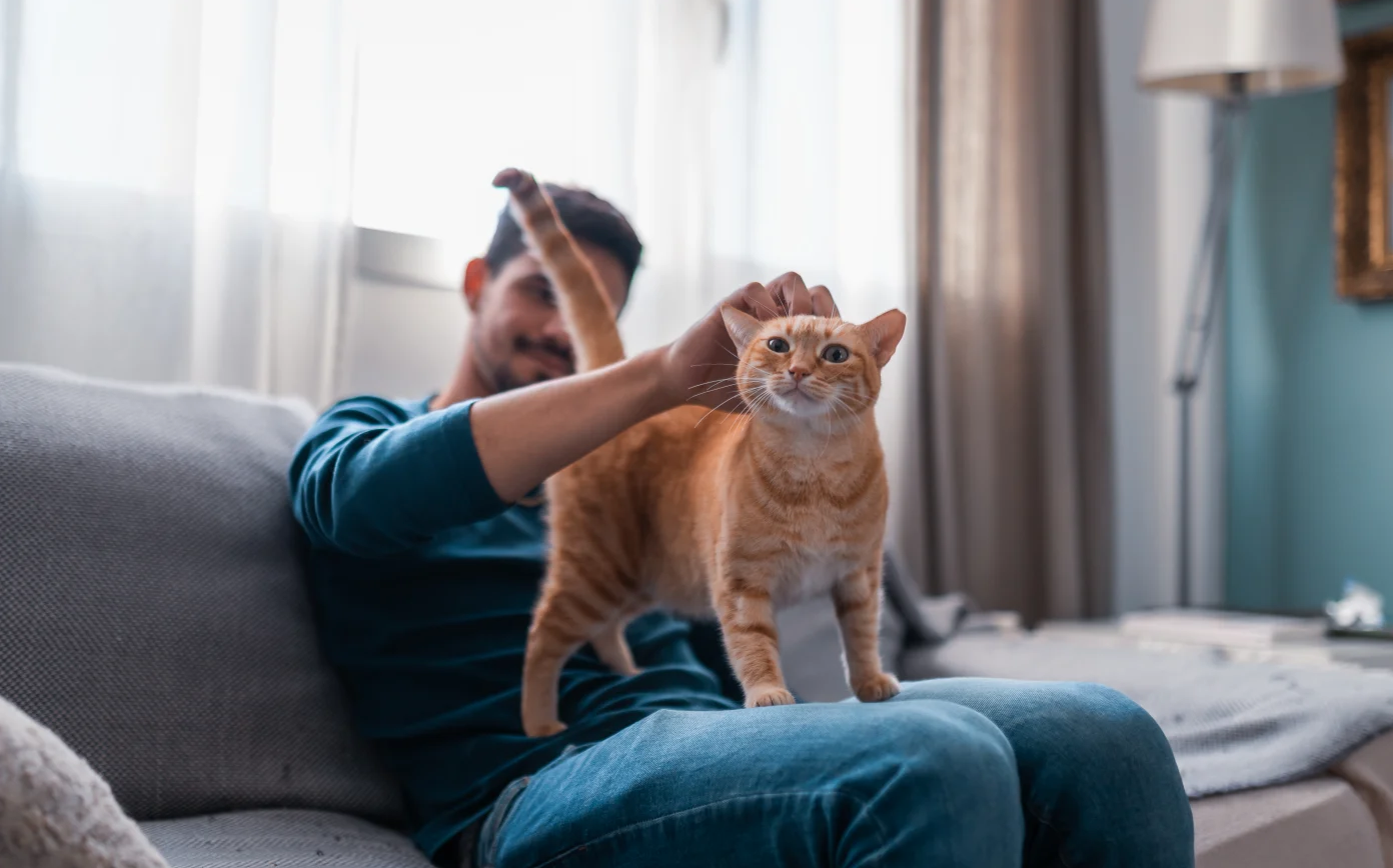 Cat Ownership Linked to Schizophrenia