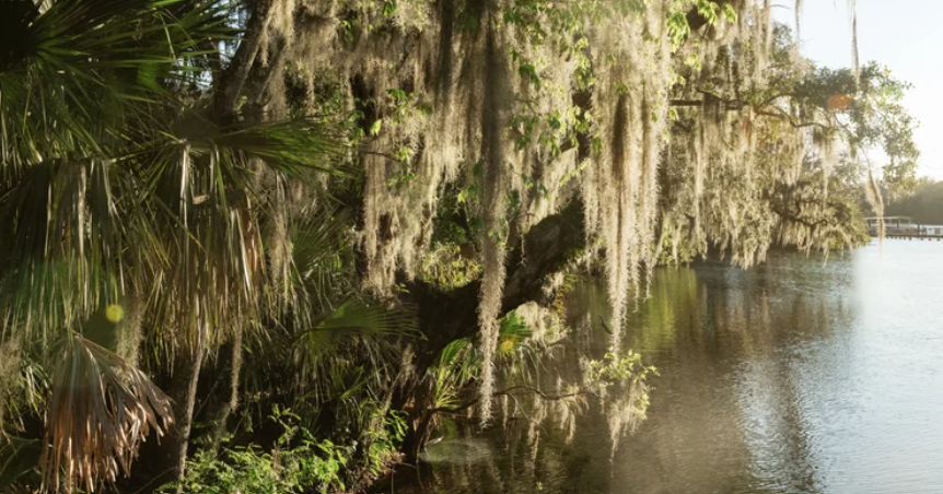Travel Guide to Satsuma, Florida