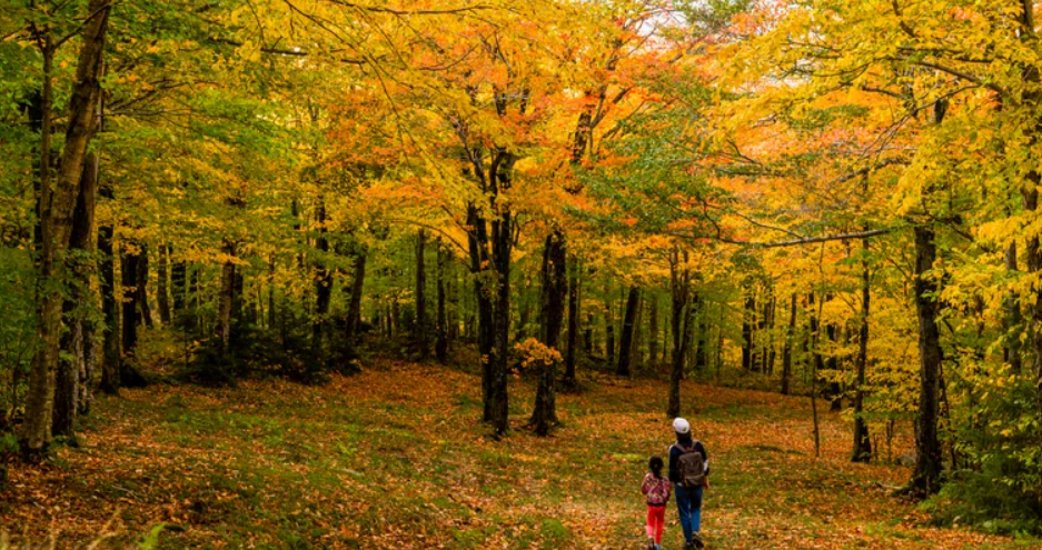 Travel Guide to Sutton, Canada