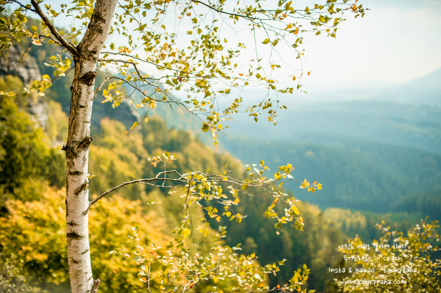 20151004-_ANL4740-3.jpg