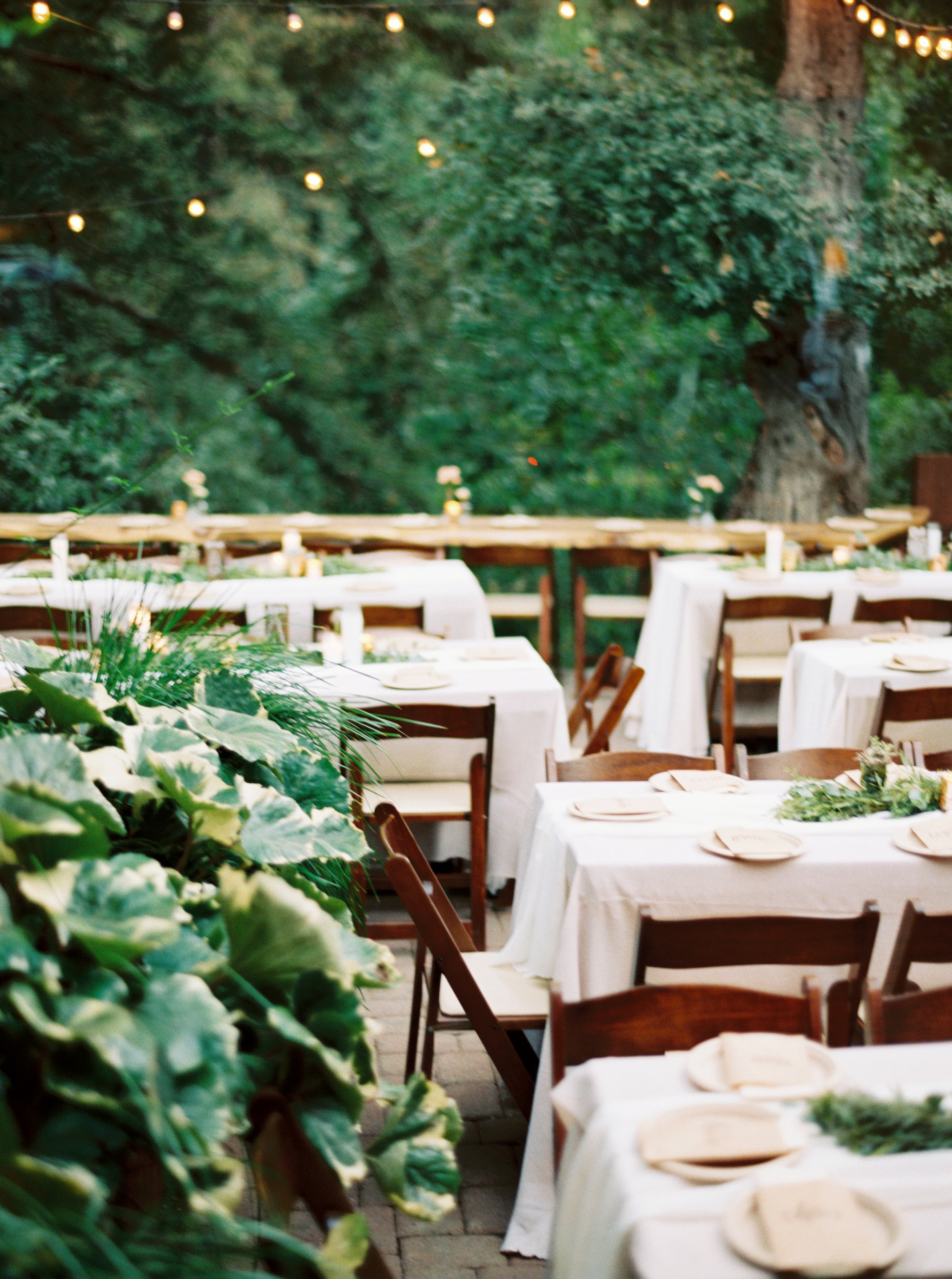 ReceptionDetails-34 (1).jpg