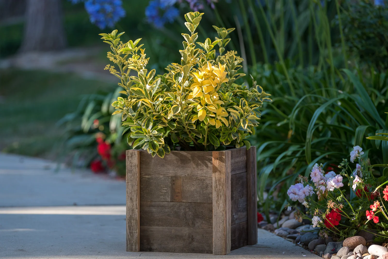 Royal-Reclaimed-Patio-Planters-1003.jpg