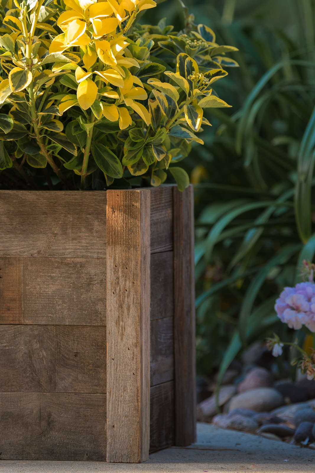 Royal-Reclaimed-Patio-Planters-1004.jpg