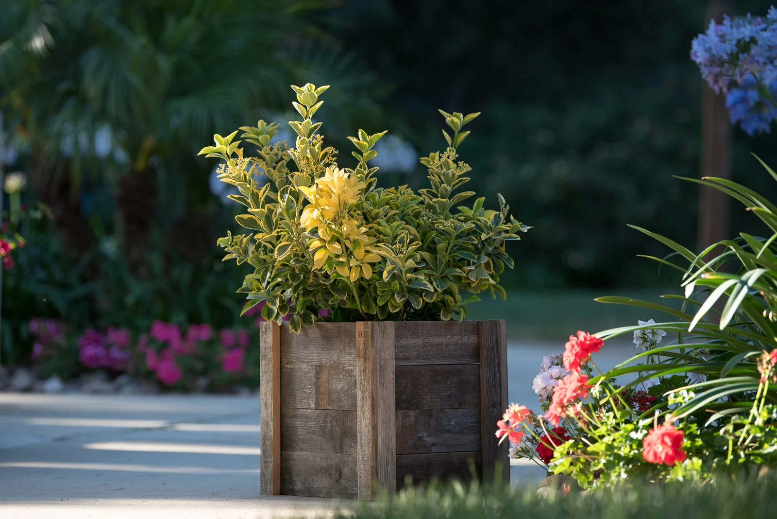 Royal-Reclaimed-Patio-Planters-1005.jpg