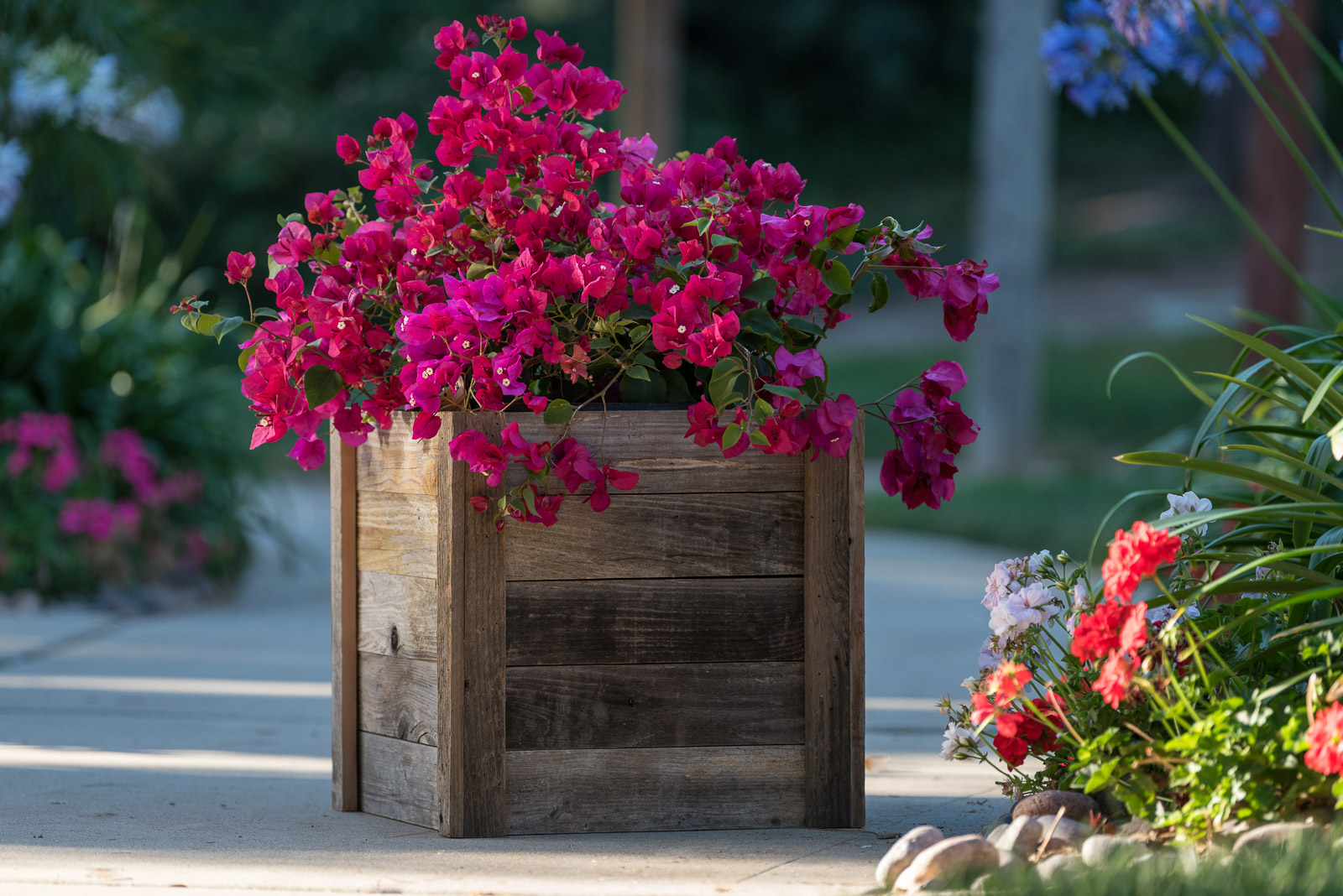 Royal-Reclaimed-Patio-Planters-1006.jpg