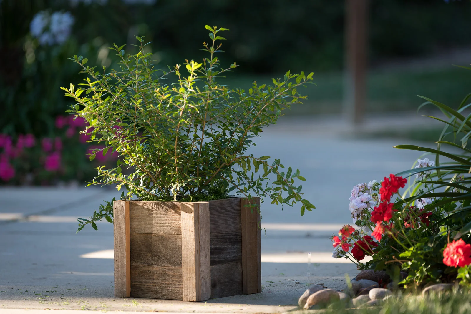 Royal-Reclaimed-Patio-Planters-1009.jpg