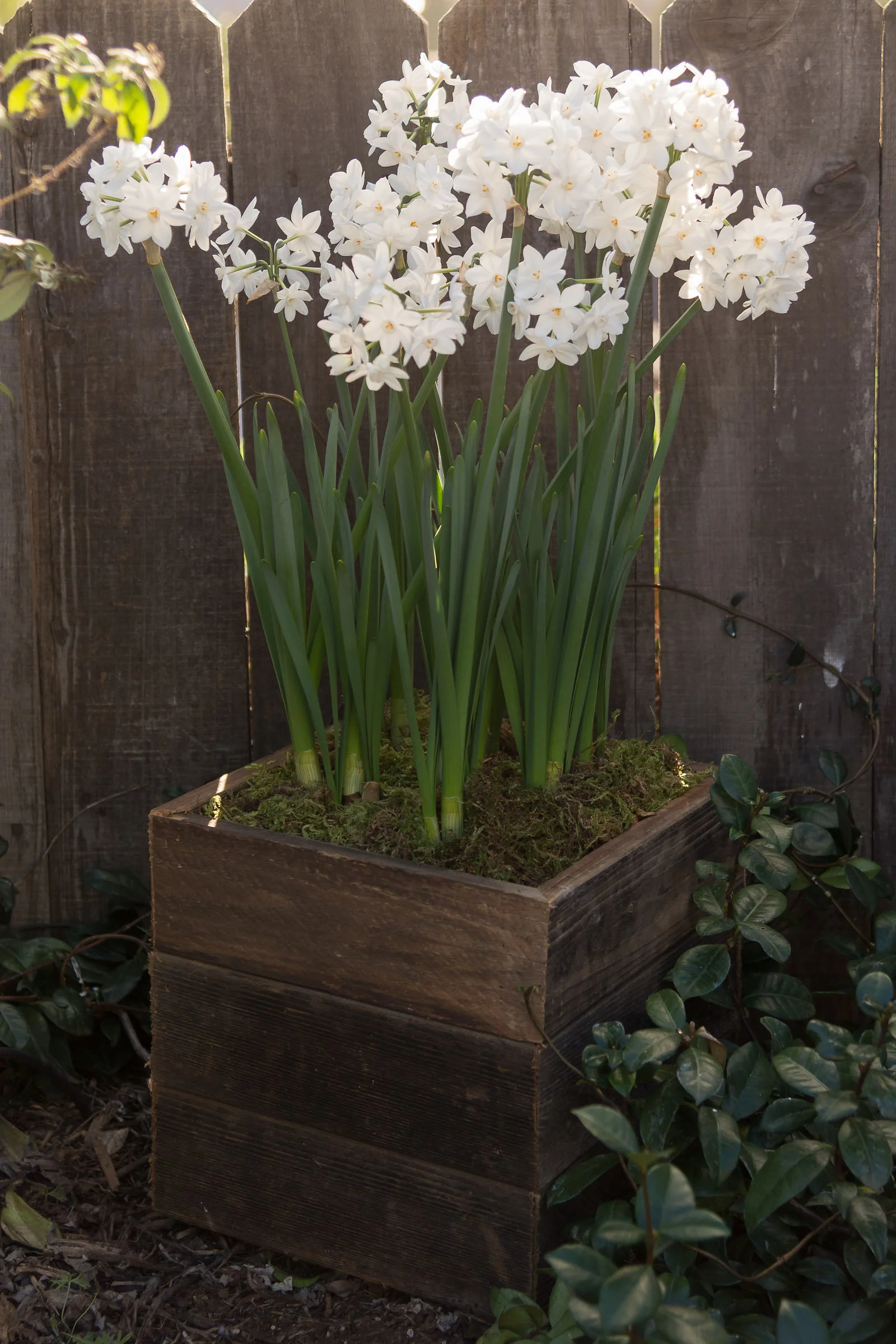 PatioPlanters-102.jpg