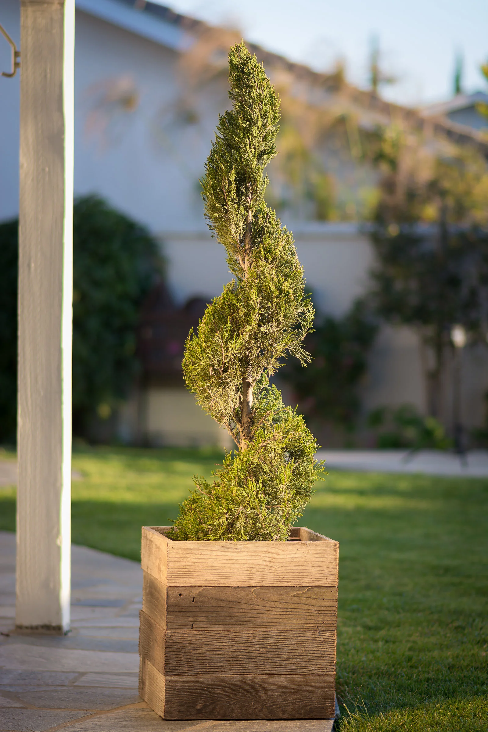 PatioPlanters-107.jpg