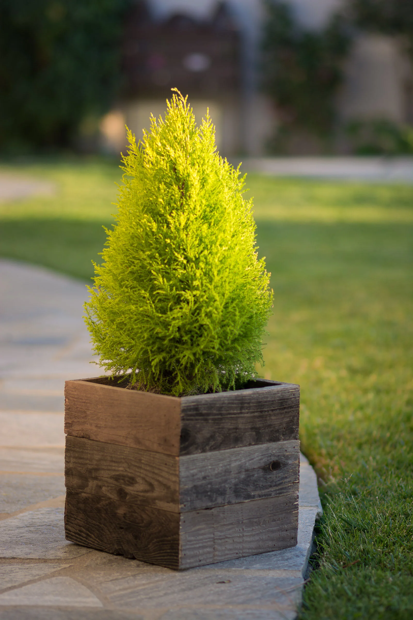 PatioPlanters-106.jpg