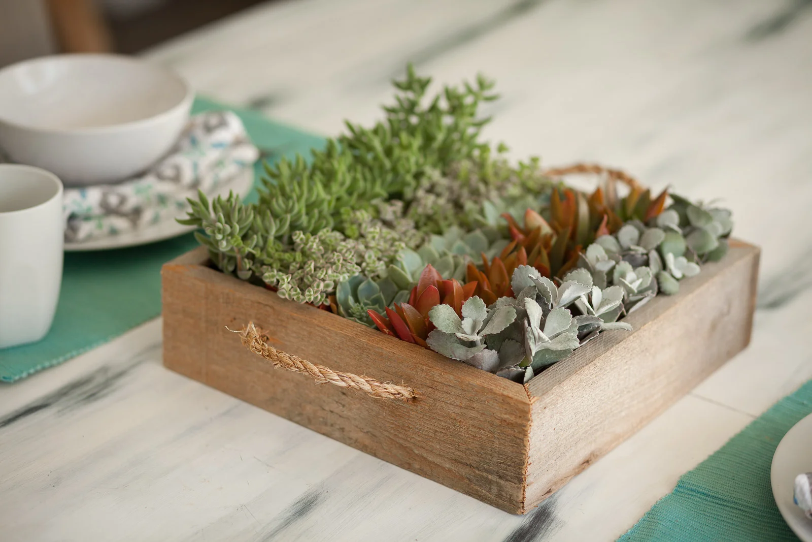 ceramic pots for plants Ceramic Raised Plant Pot