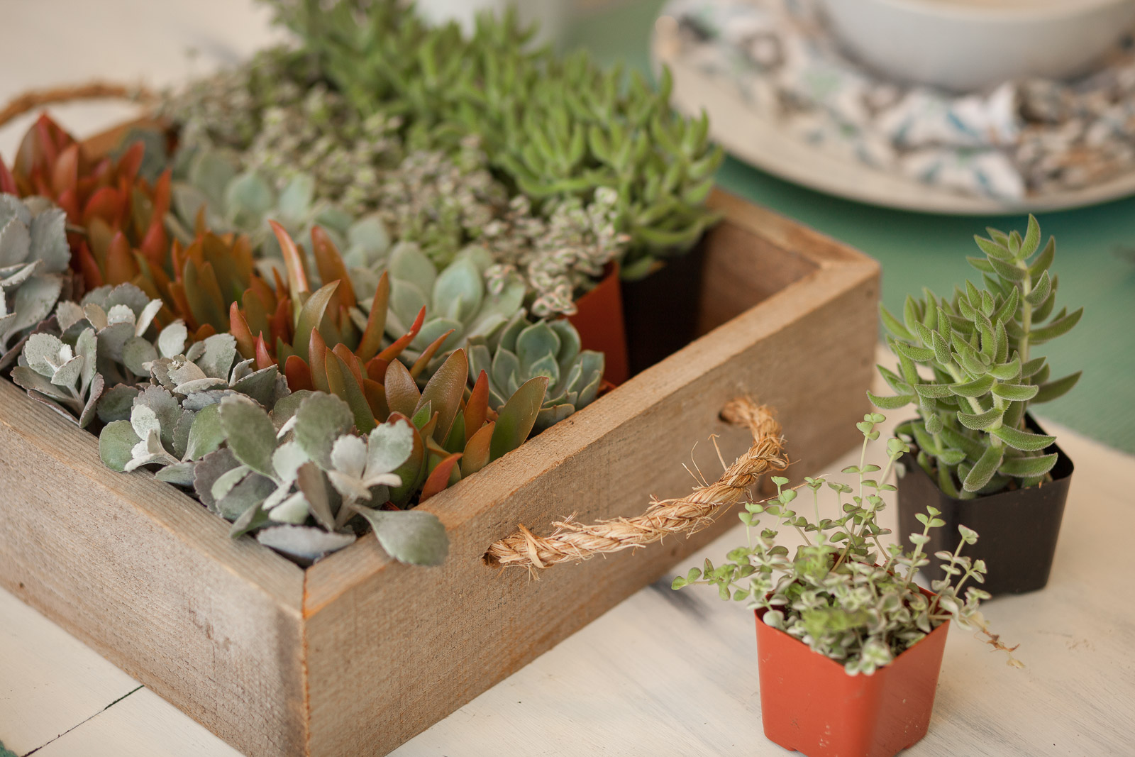 big cheap pots for plants Kona Planter Collection main image 0