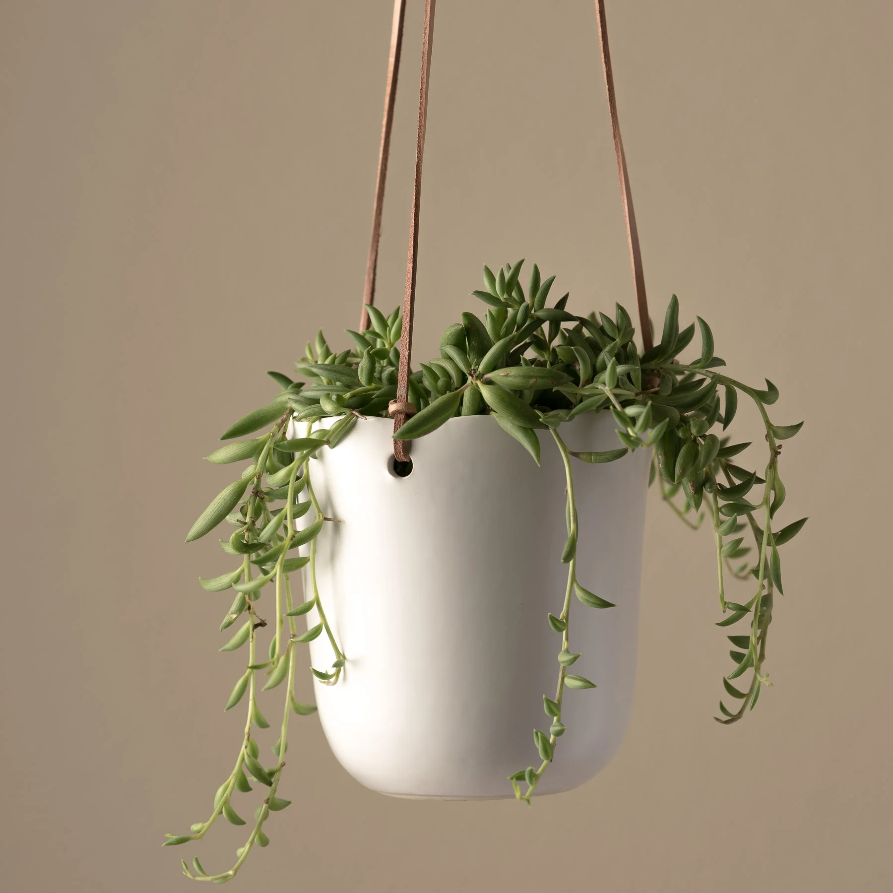 Hanging Ceramic Strings of Bannanas