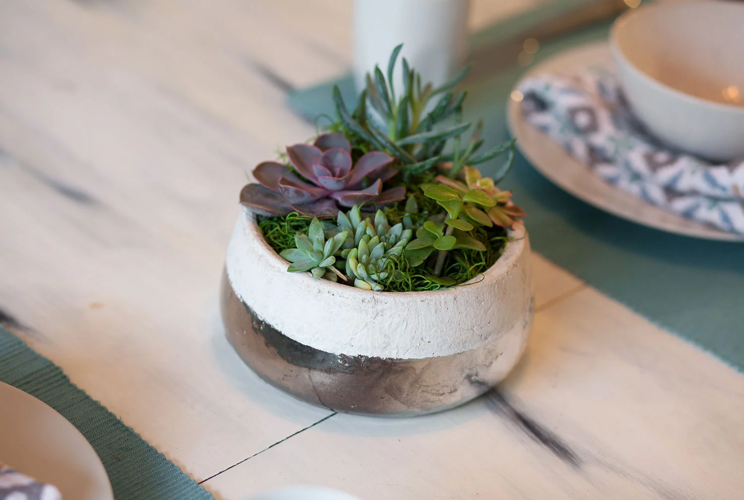 Sand and Sea Cabo Succulent Centerpiece  Pacific Royal