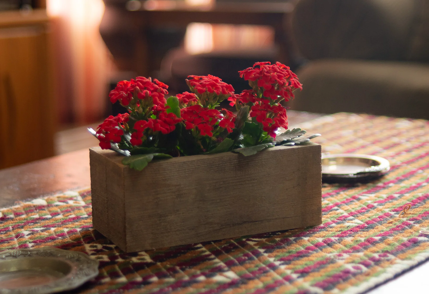 Christmas Kalanchoe Succulent in Reclaimed Centerpiece
