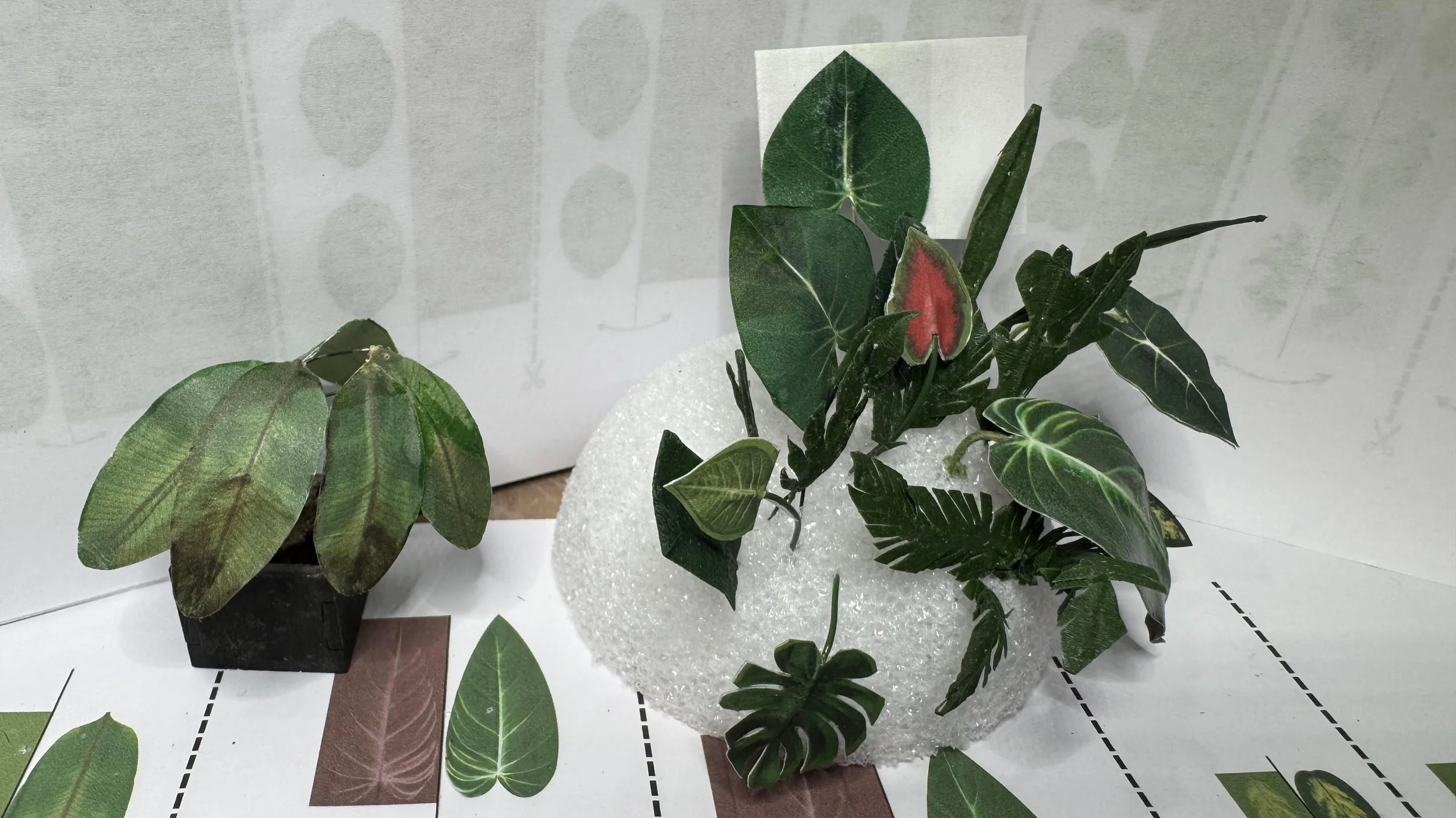 Mini Flowers: Houseplants