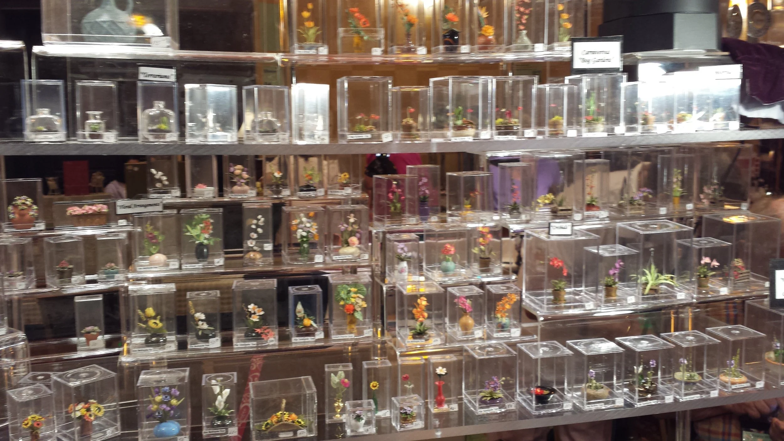 20130906_194549.jpg