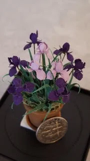 FS workshop iris.jpg