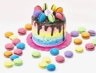 FS workshop maccaron cake.jpg
