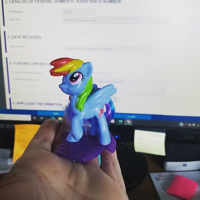 Getting some inspiration from our collection. Grant writing with the power of @mylittlepony 
#mcdonaldstoys #rainbowdash #museumlife #grantwriting