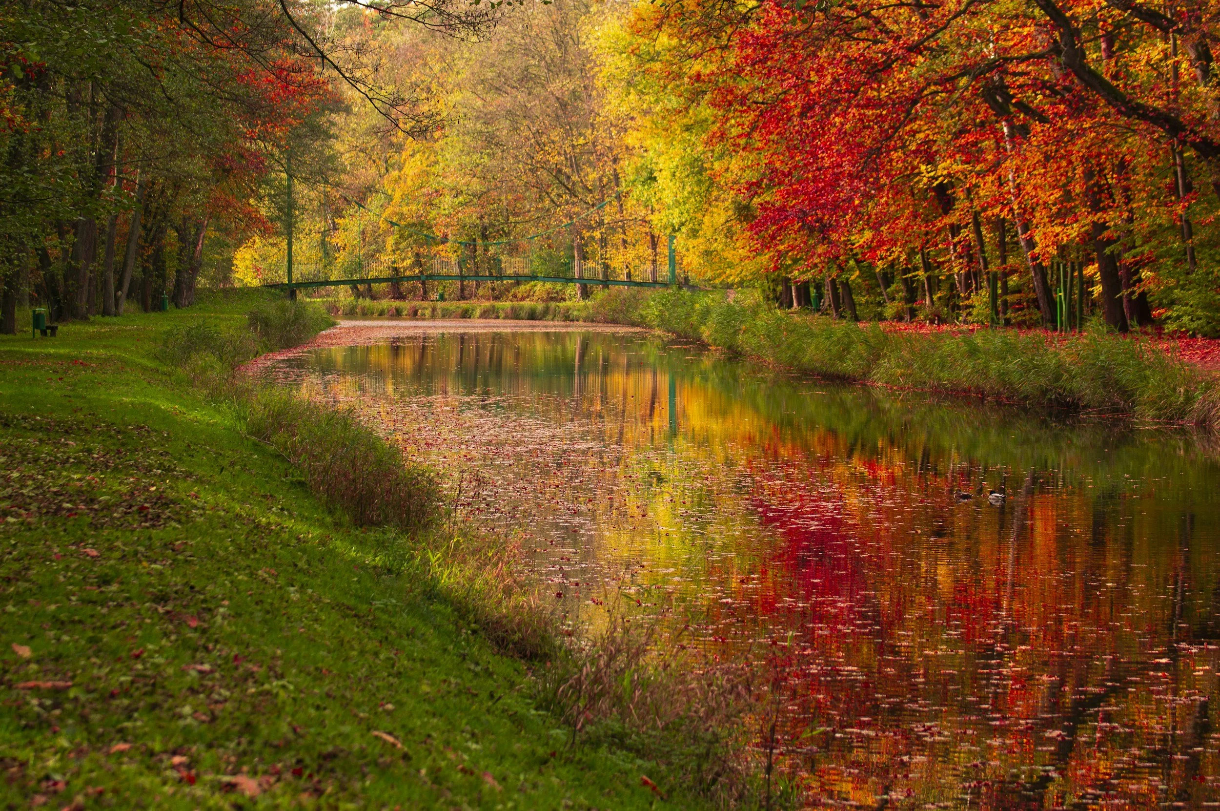 Closed for Thanksgiving