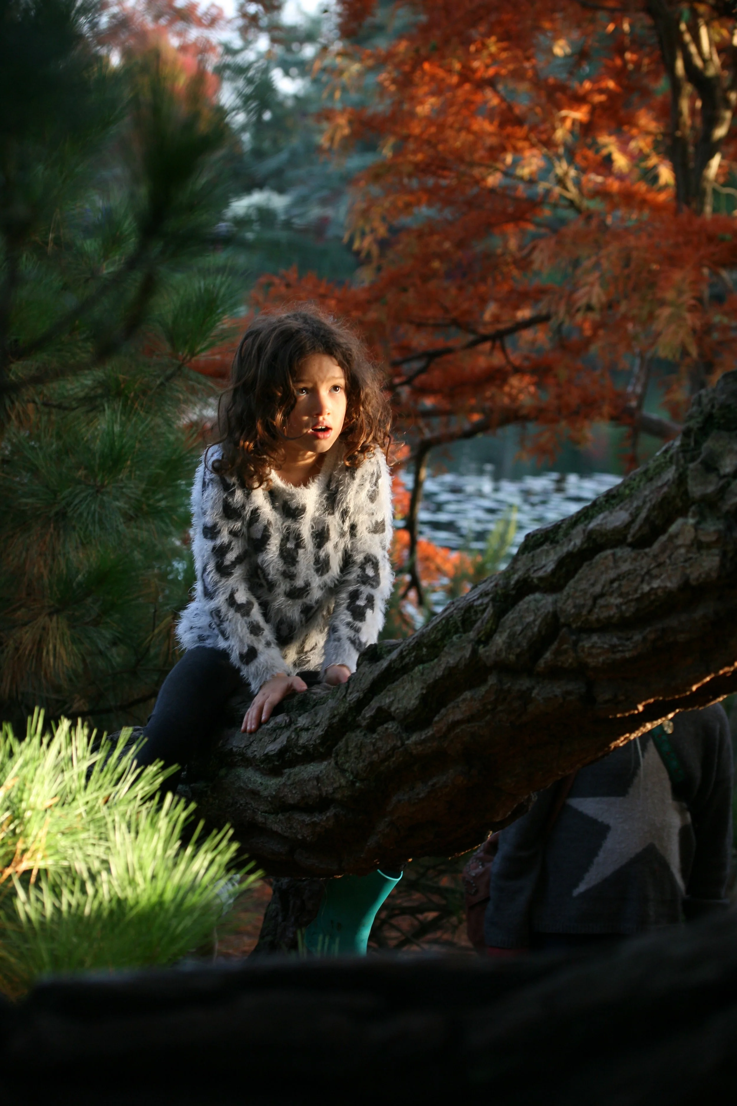 4EC7B168-58EF-41A7-B1AE-83BCF9CDD527.JPG