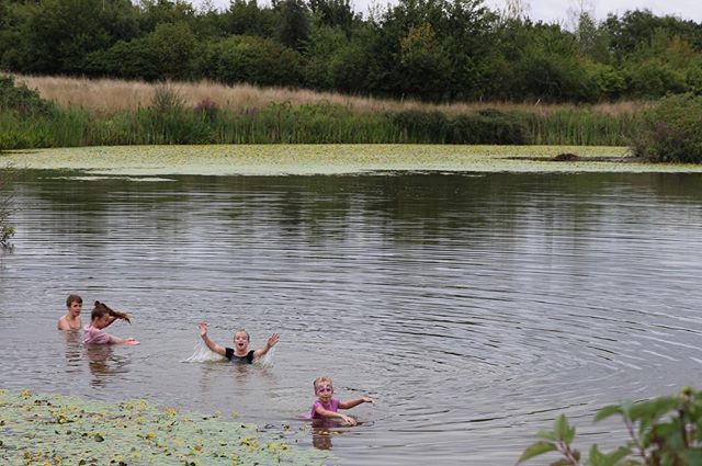 #wildswimming #summerday #bowerhillfarm #childhood