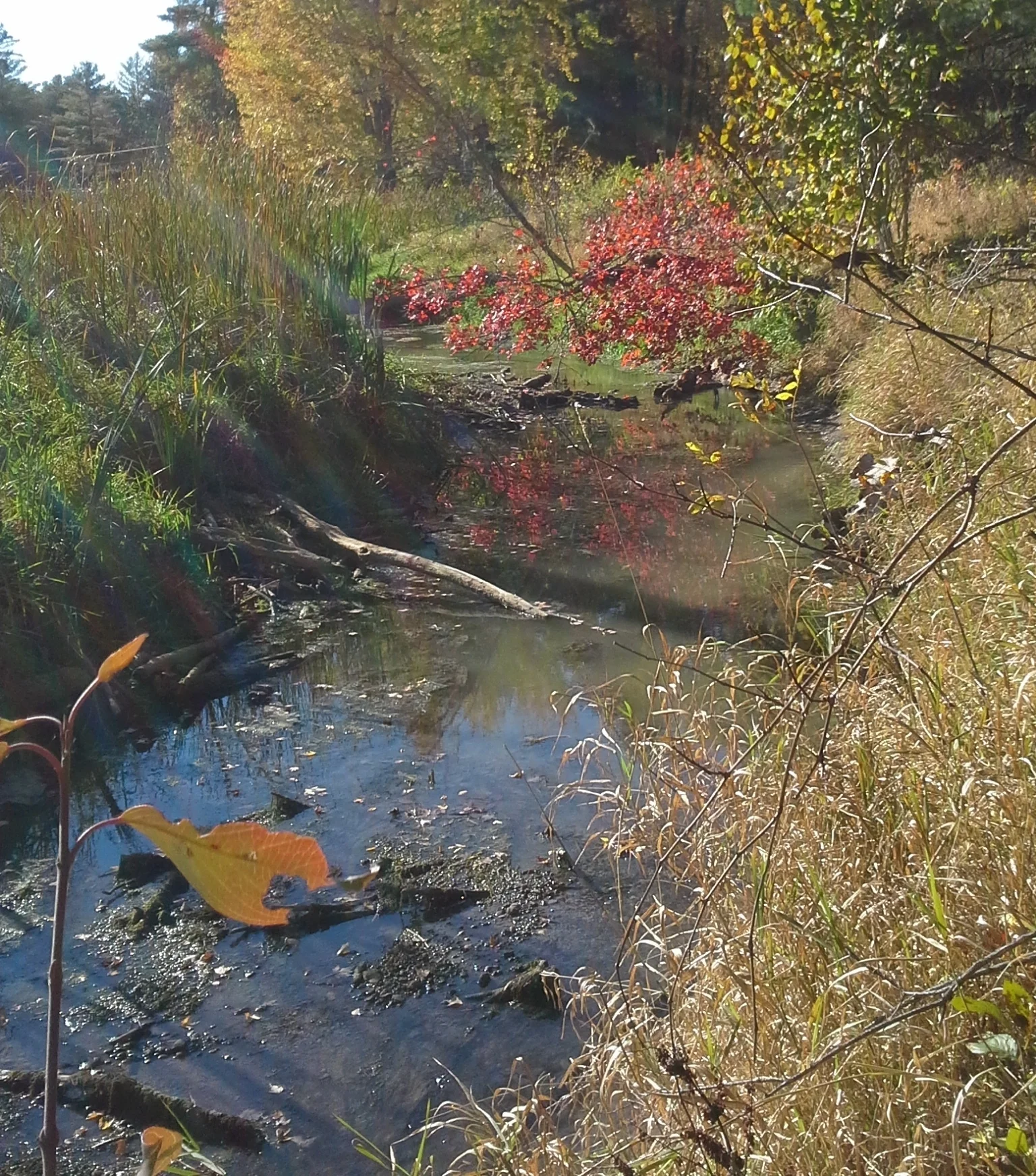 20171020_144551.jpg