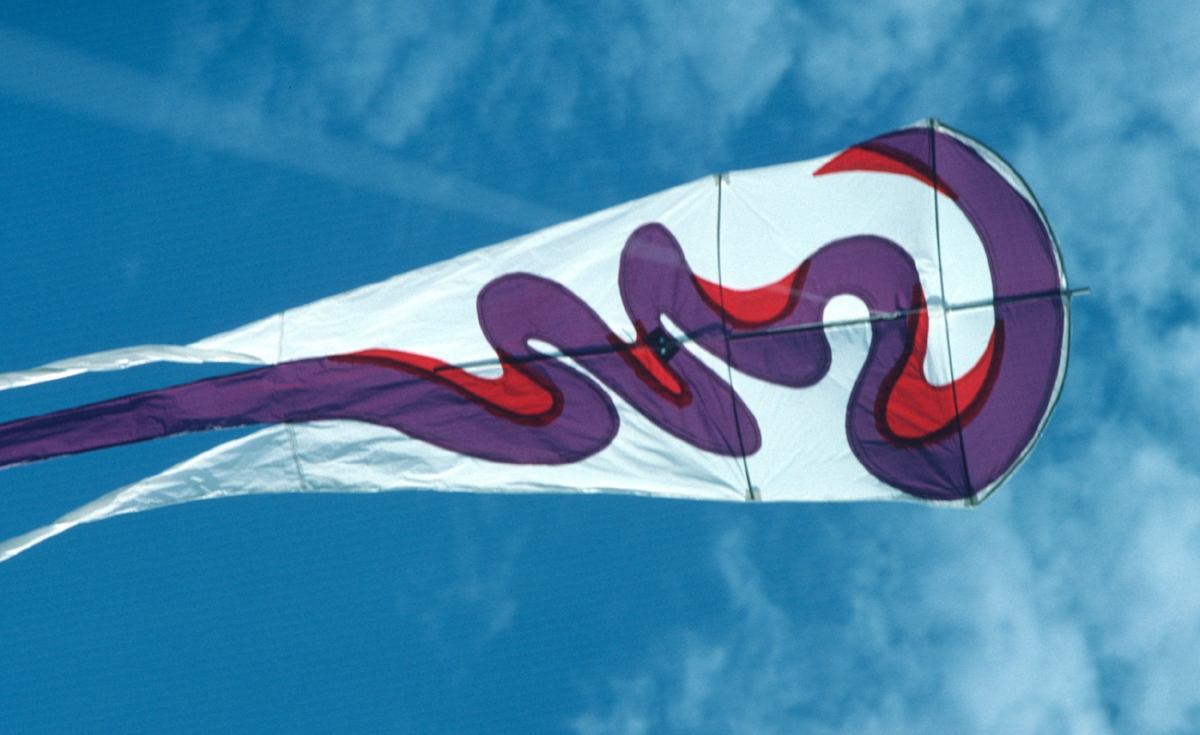 Flying Kites, Kate Pond