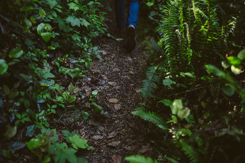 Hiking Path in Russ Park | Ferndale, CA