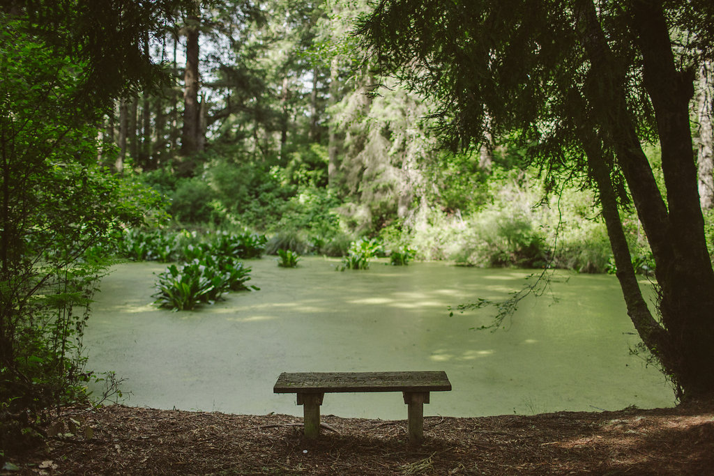 Zipporah's Pond | Russ Park - Ferndale CA