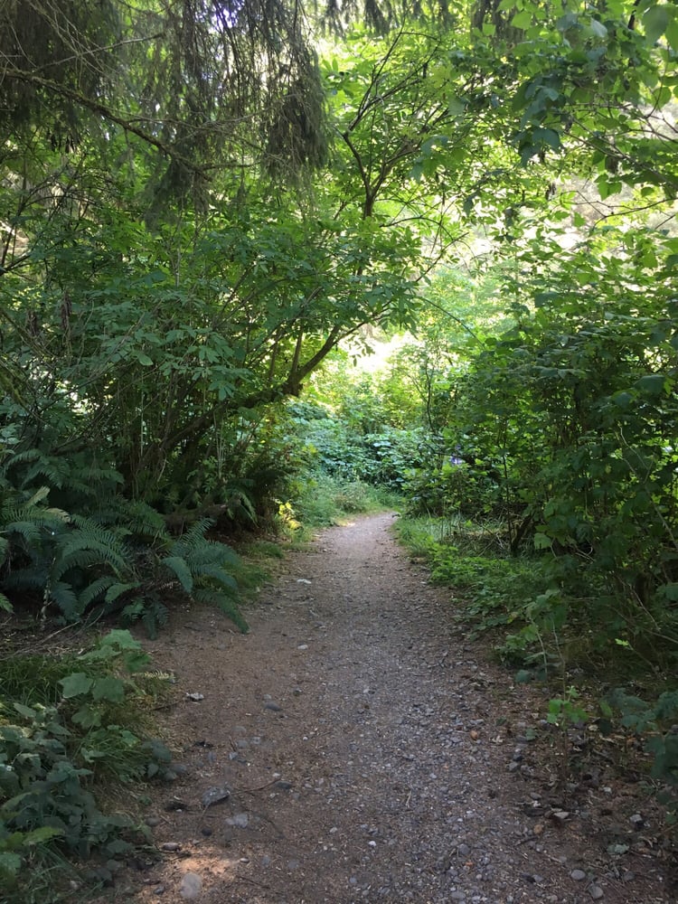 Hiking Path in Russ Park | Ferndale CA