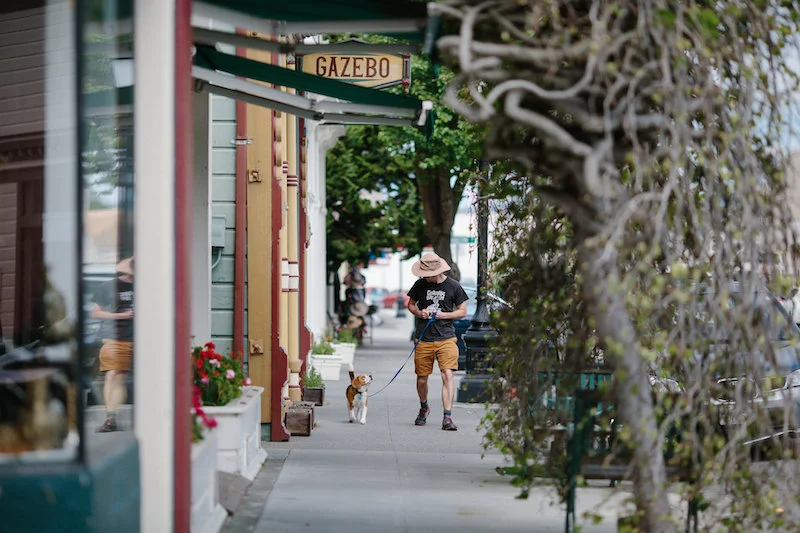Dog Friendly Things to Do in Ferndale, California