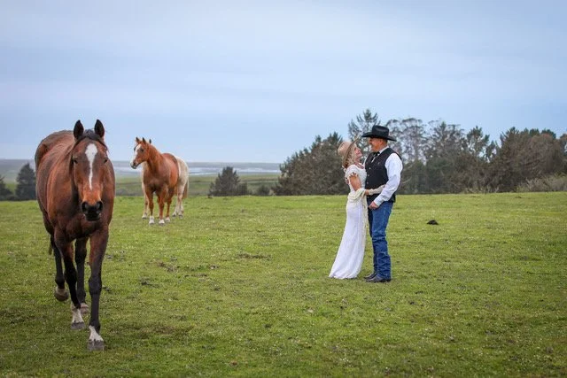 North Coast Hitching Post (Loleta)