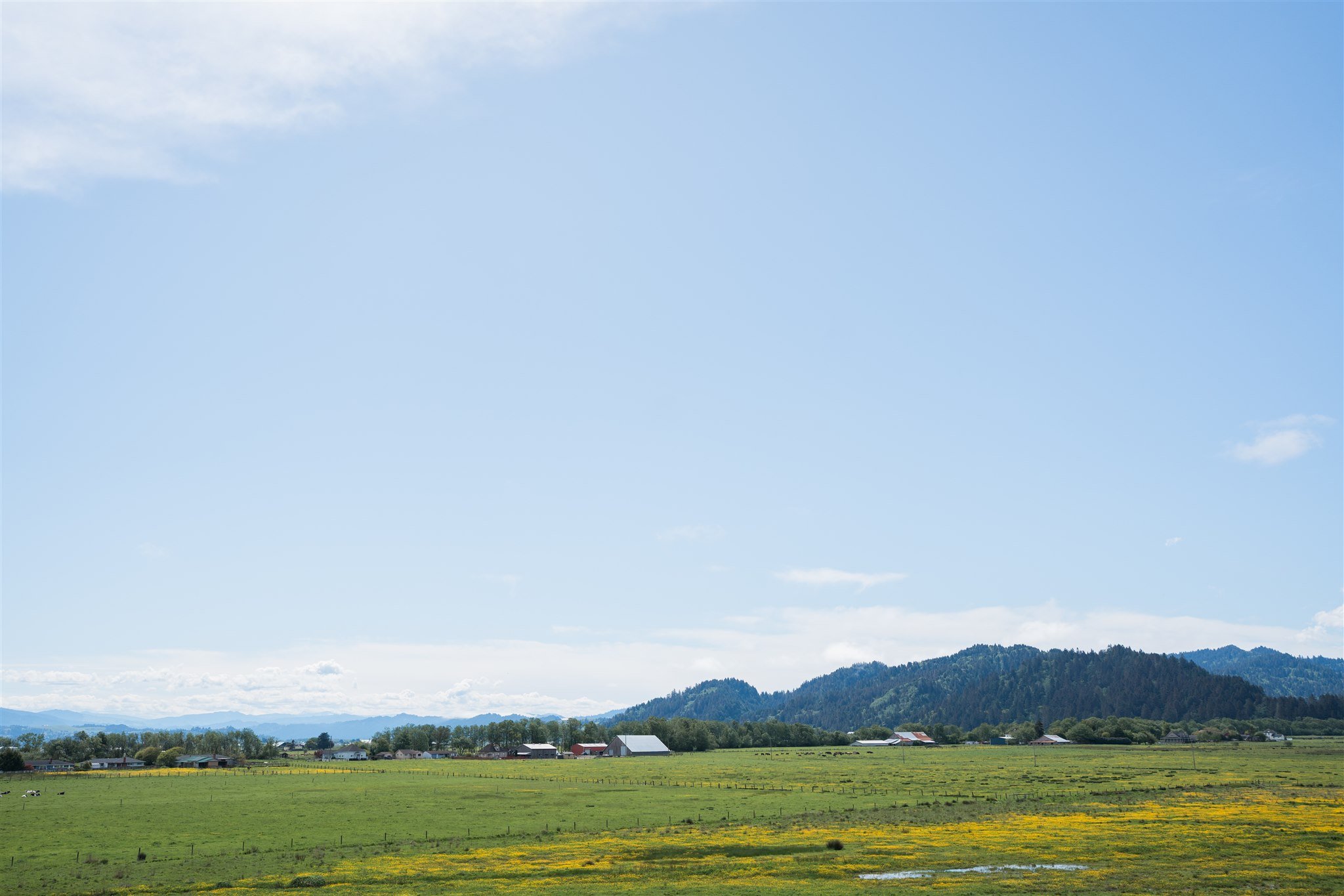 Ferndale Countryside