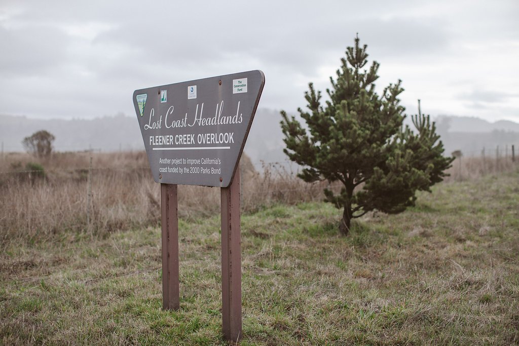 Lost Coast Headlands