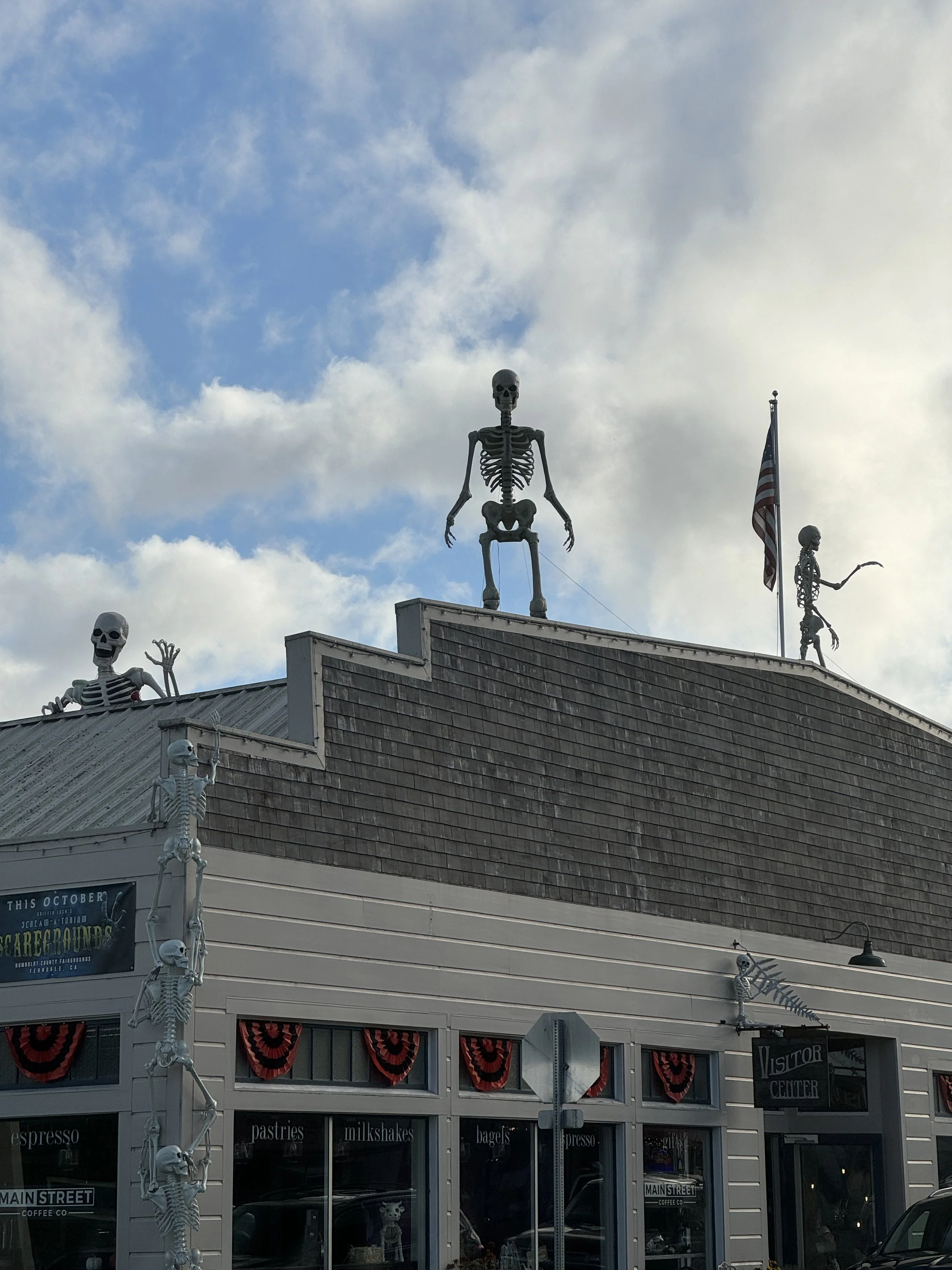 POLL: What Should We Name the Ferndale Visitors Center Skeletons?