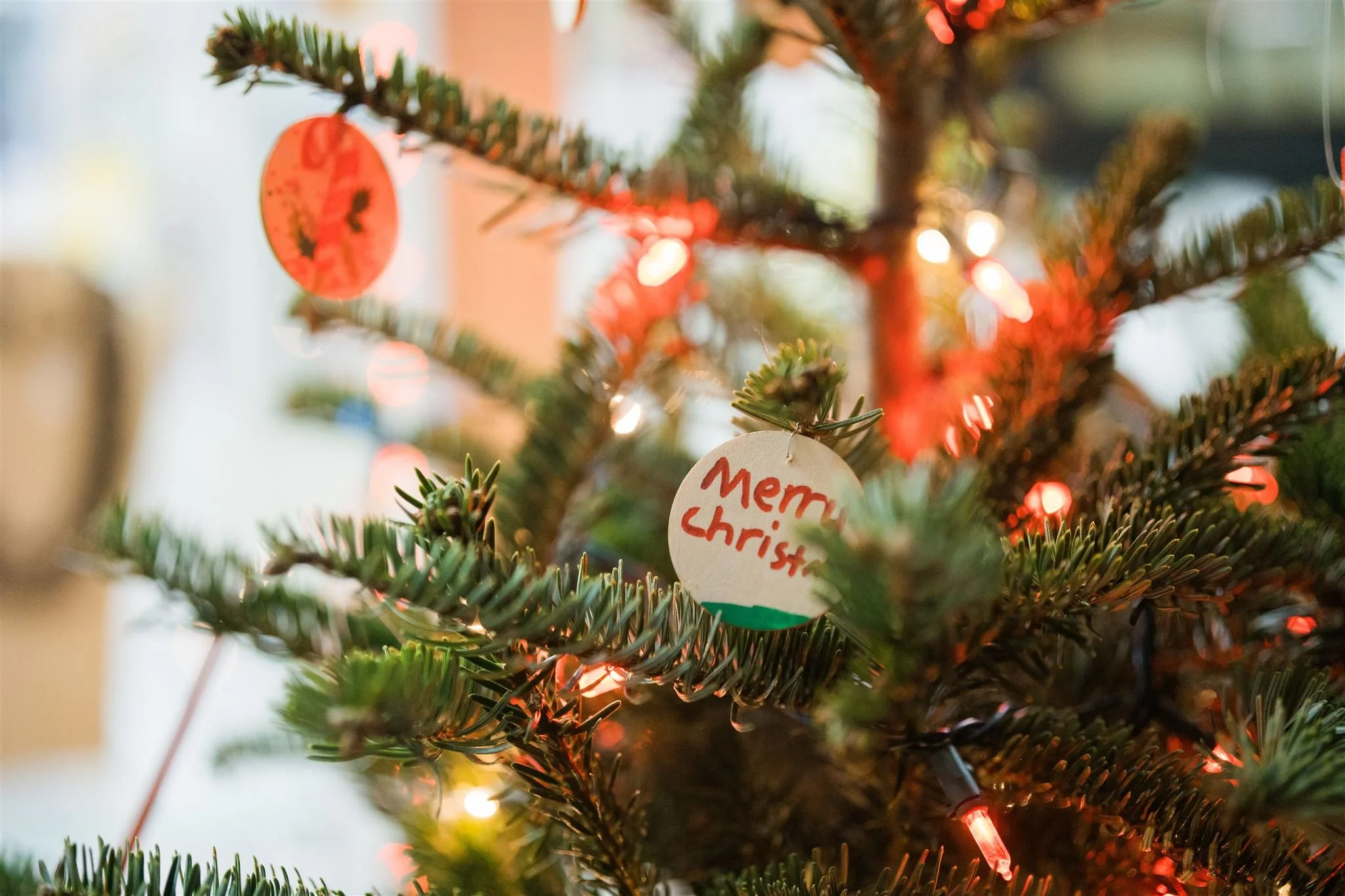 Ferndale earthquake today map