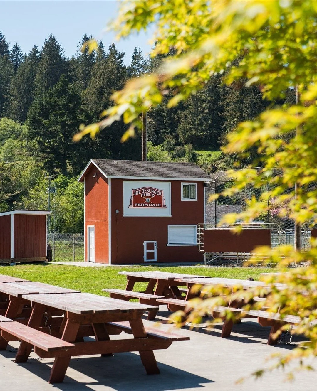 Hop on over to Firemen's Park this Saturday, April 4, for the annual Ferndale Easter Egg Hunt! This @ferndalechamber tradition has been going strong for over 75 years. 🐣 🐇 A big thanks to all our volunteers and sponsors, including: @goldengaitmerca
