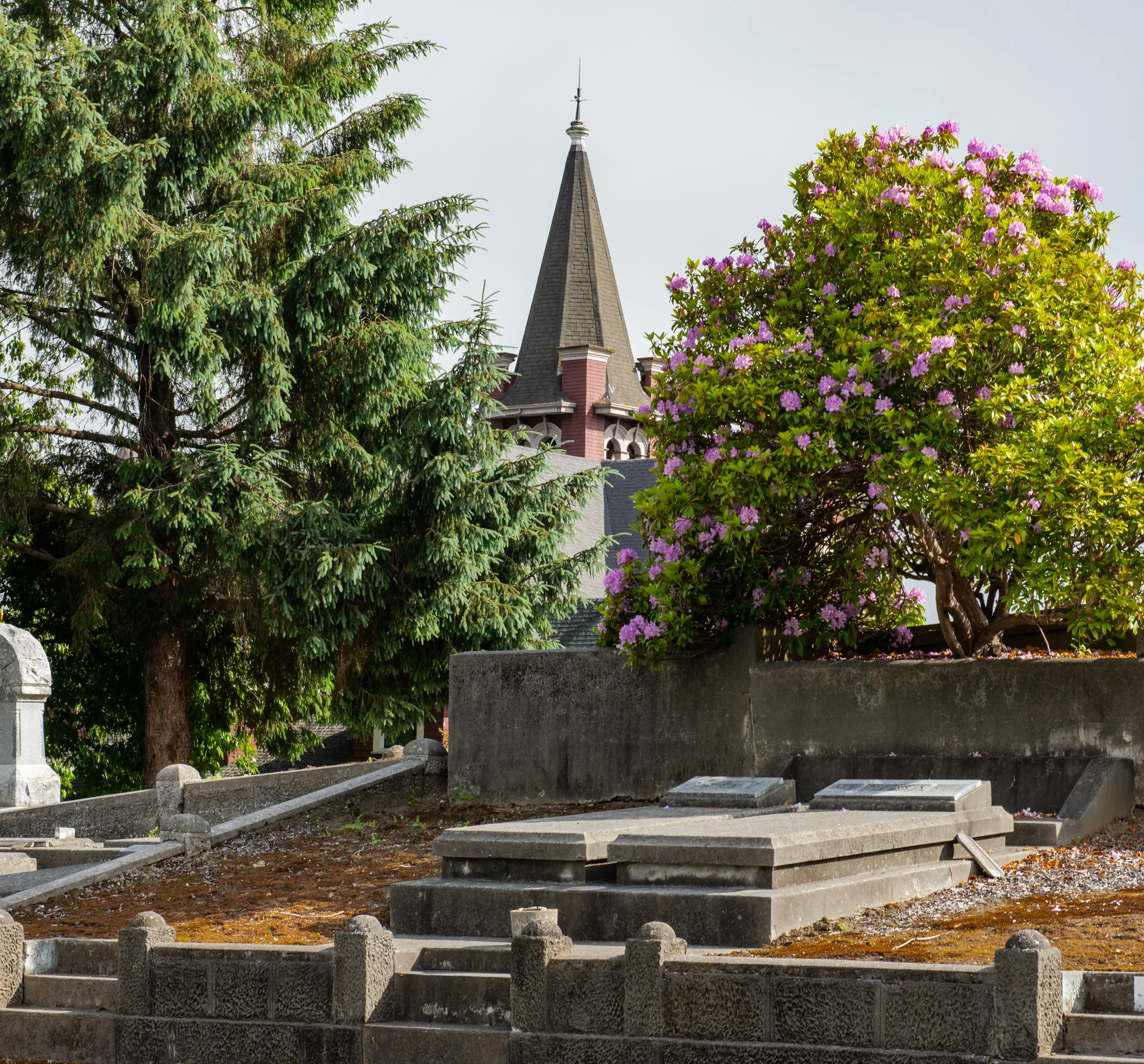 Ferndale Cemetery Guided Walking Tours