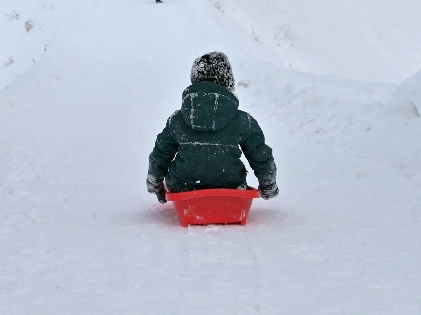 Polar Bunny Hill Sledding