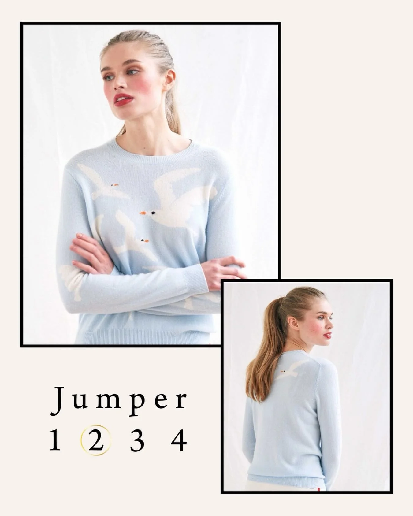 Jumper 1 2 3 4 - Cashmere Seagull Crew In Pale Blue.