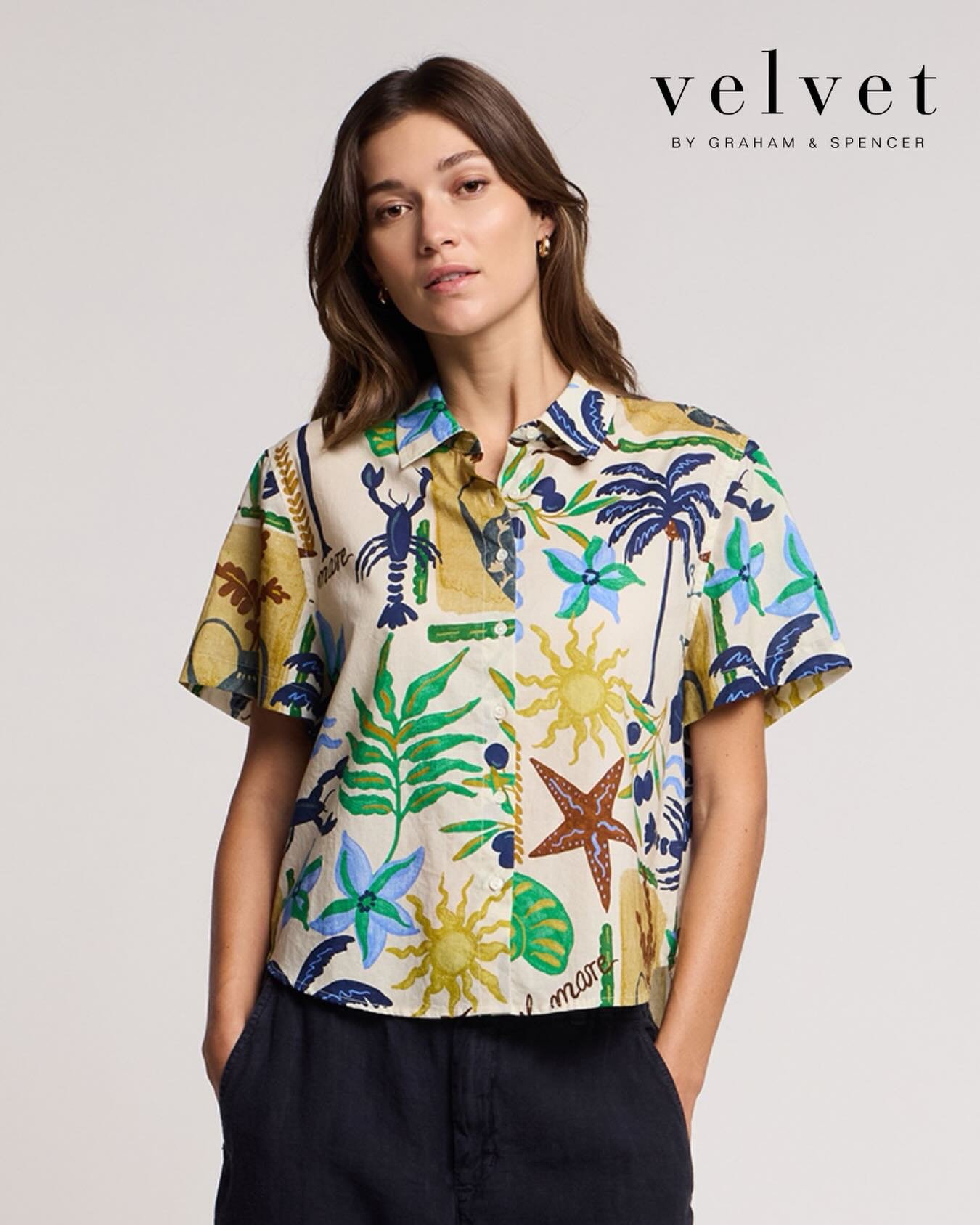 Marine Button Up From Velvet!