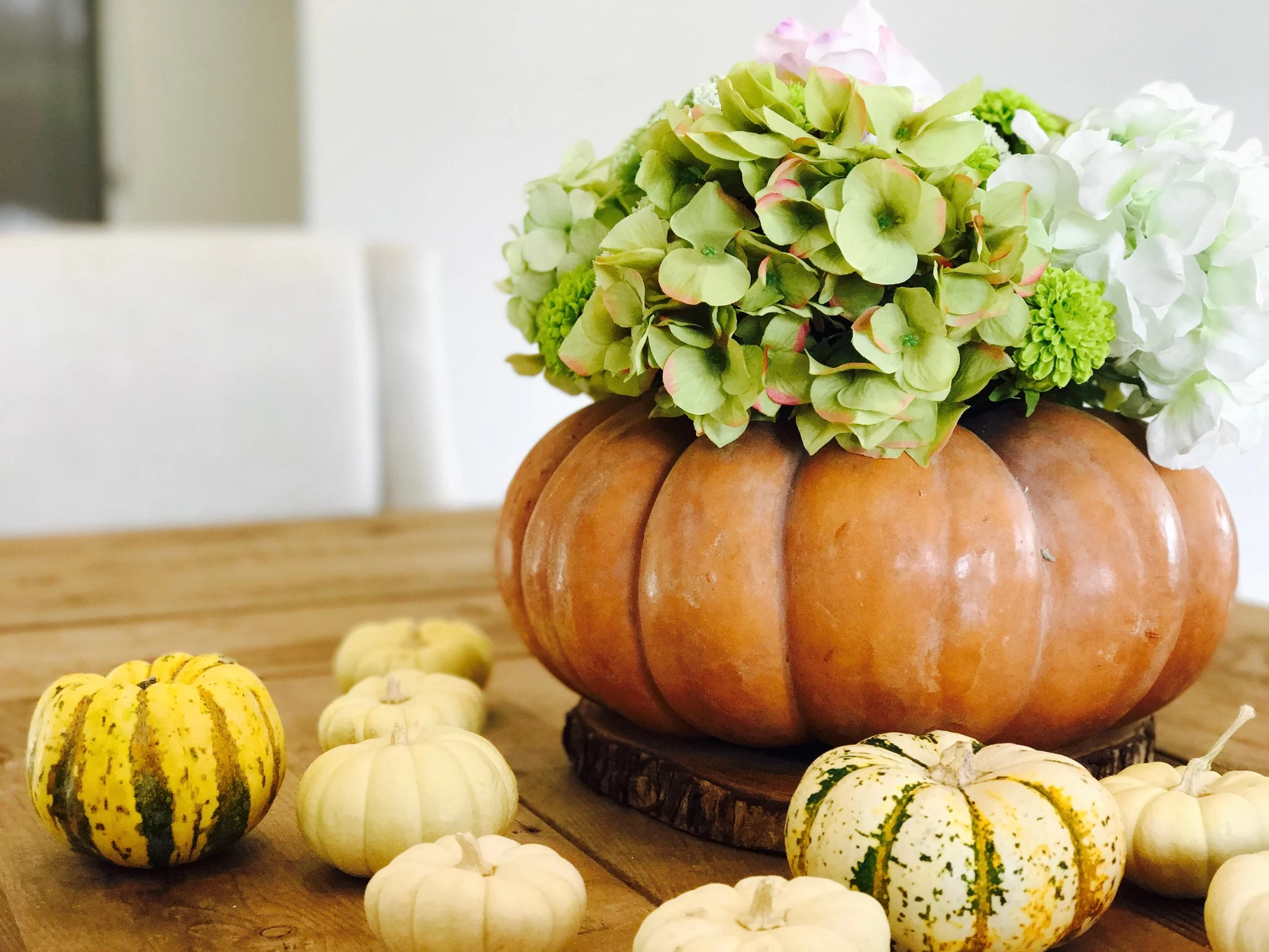 The transformation is remarkable! You can you use smaller pumpkins too -- but the larger pumpkin planters really make for a gorgeous centerpiece.