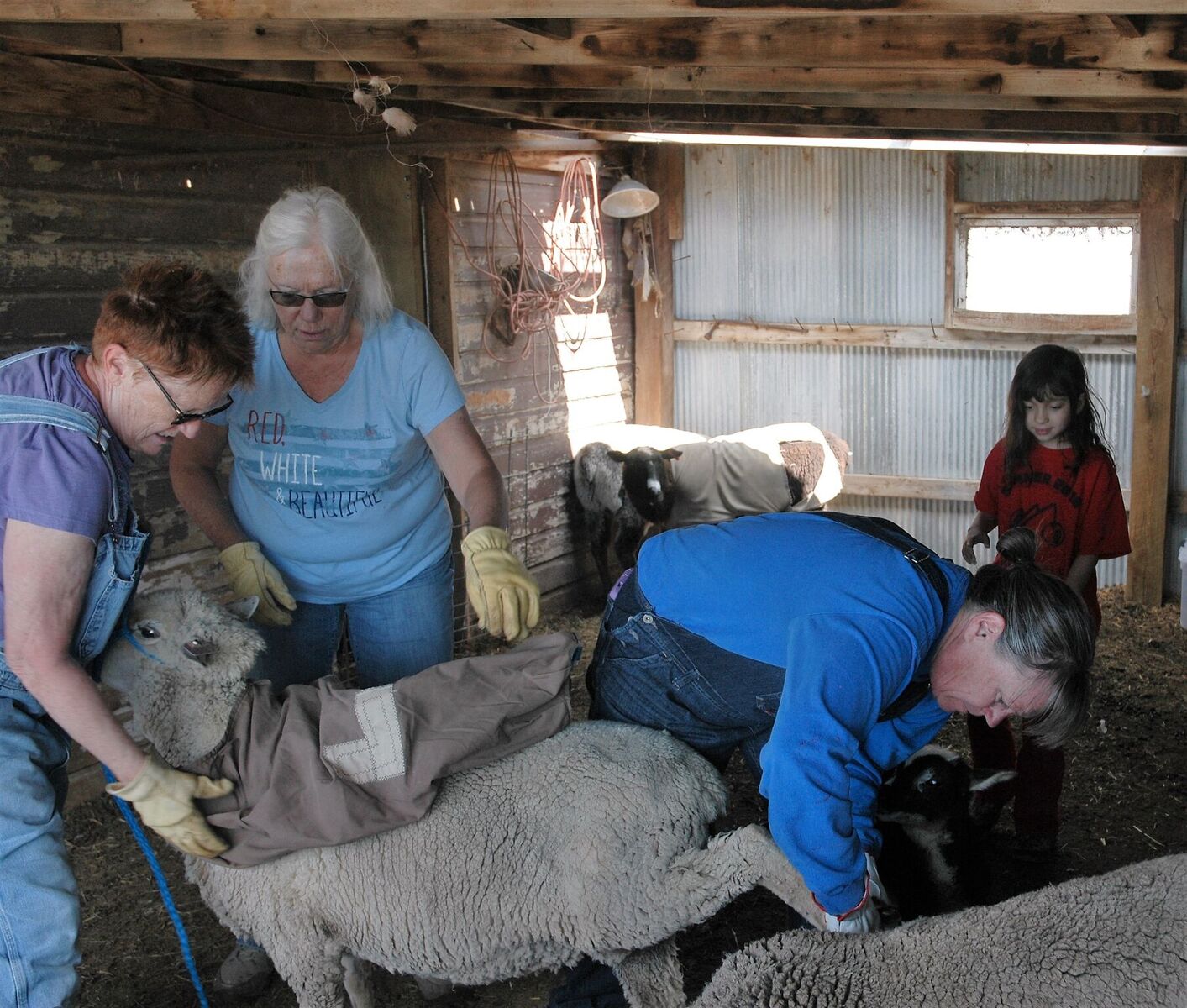 Julie Bishop, Flo Olsen, Sarah Hagemeister and Margaret Lujan working in the shed.
